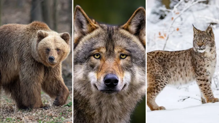 Samo će najveći poznavatelji Hrvatske rasturiti na pitanjima o nacionalnim parkovima