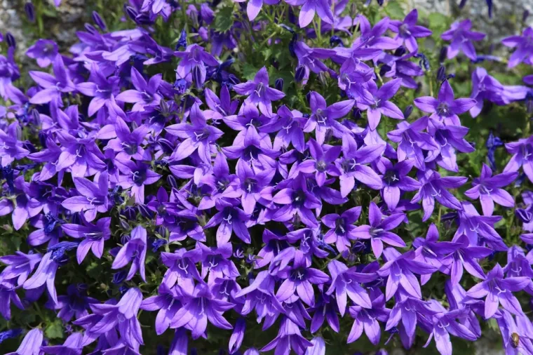 Samo će veliki genijalci znati ove činjenice o parkovima prirode Hrvatske: Isku&scaron;aj se na kvizu