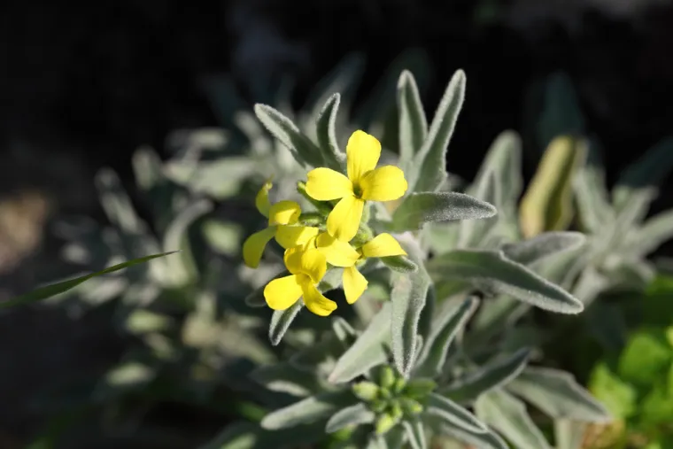 Samo će veliki genijalci znati ove činjenice o parkovima prirode Hrvatske: Isku&scaron;aj se na kvizu