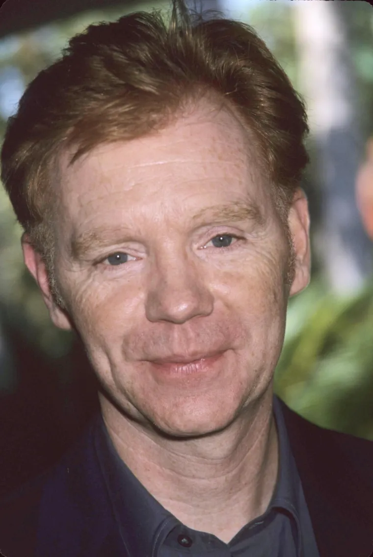 Horatio, jesi li to ti? Glumac se povukao iz svijeta zabave, a malo tko ga danas može prepoznati