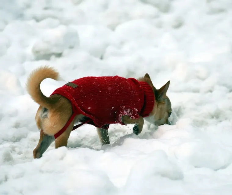Snijeg prekrio Karlovac, no nije uspio sakriti nepogre&scaron;ivi stil: Dama u bundi ukrala poglede
