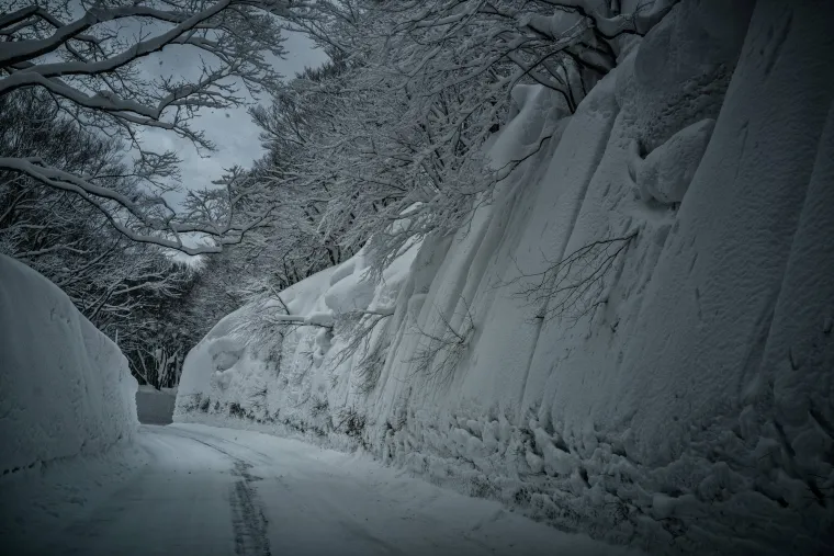 Ako mislite da snijeg nama stvara probleme, čekajte da vidite kako ovdje žive: I to im je normalno!