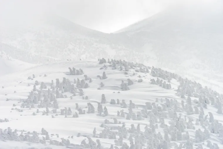 Ako mislite da snijeg nama stvara probleme, čekajte da vidite kako ovdje žive: I to im je normalno!