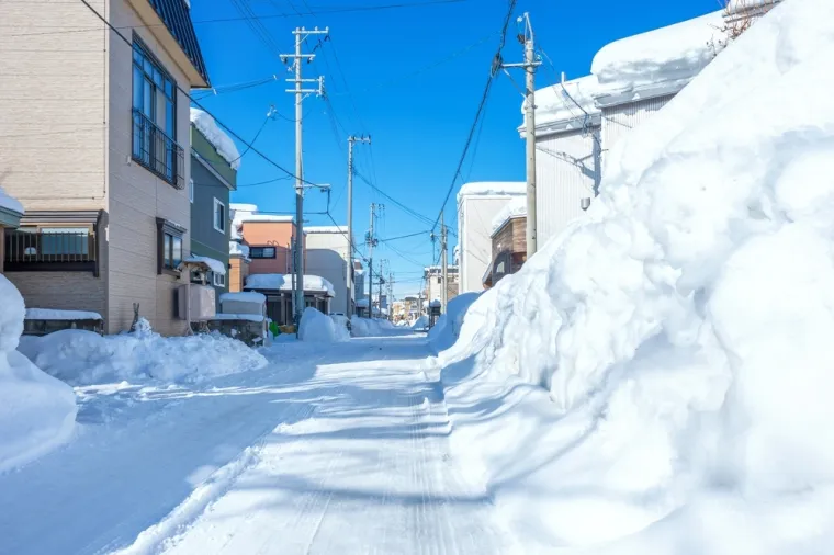 Ako mislite da snijeg nama stvara probleme, čekajte da vidite kako ovdje žive: I to im je normalno!