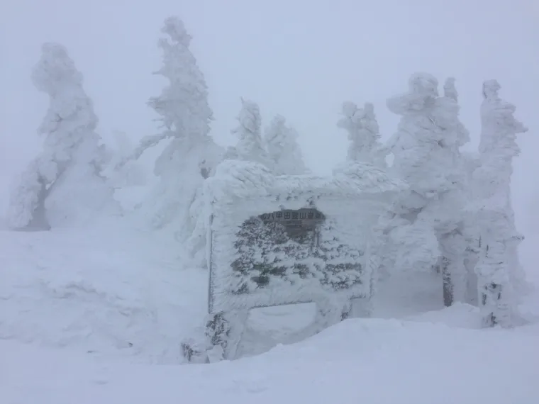 Ako mislite da snijeg nama stvara probleme, čekajte da vidite kako ovdje žive: I to im je normalno!