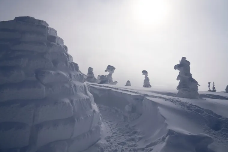 Ako mislite da snijeg nama stvara probleme, čekajte da vidite kako ovdje žive: I to im je normalno!