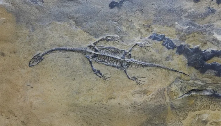 Je li čudovi&scaron;te iz Loch Nessa stvarno? 'Nakon ovog znanstvenog otkrića to je vjerojatno'