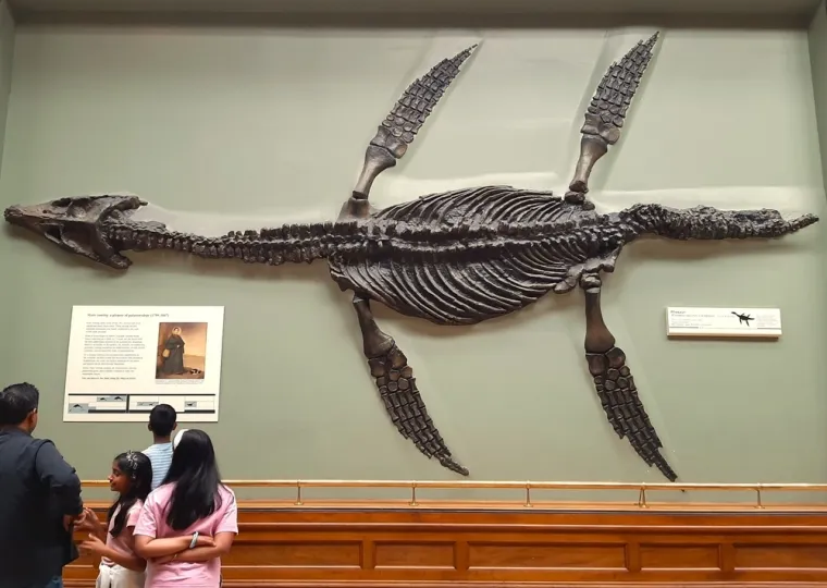 Je li čudovi&scaron;te iz Loch Nessa stvarno? 'Nakon ovog znanstvenog otkrića to je vjerojatno'