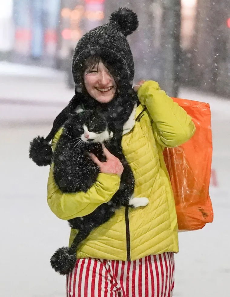 Pogodila ih je žestoka oluja: Sru&scaron;ena drveća i dalekovodi, ljudi bez struje...