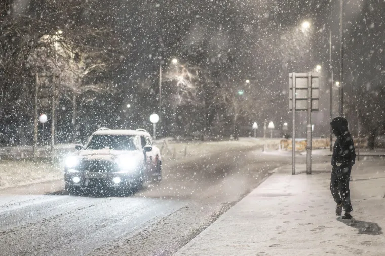 Pogodila ih je žestoka oluja: Sru&scaron;ena drveća i dalekovodi, ljudi bez struje...