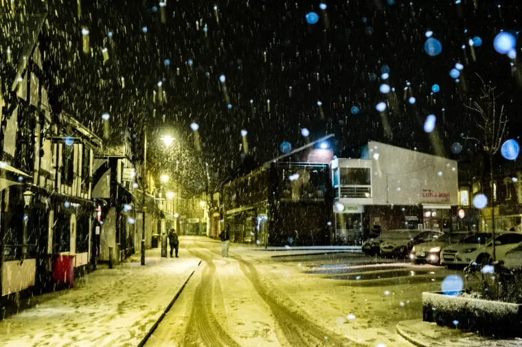 Pogodila ih je žestoka oluja: Sru&scaron;ena drveća i dalekovodi, ljudi bez struje...