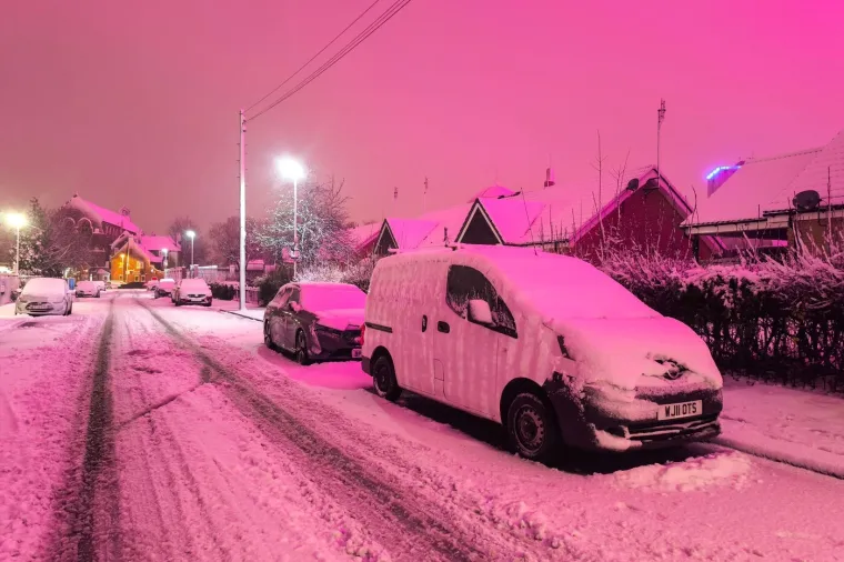 Pogodila ih je žestoka oluja: Sru&scaron;ena drveća i dalekovodi, ljudi bez struje...