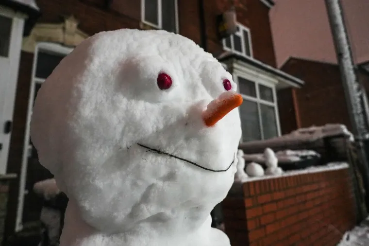 Pogodila ih je žestoka oluja: Sru&scaron;ena drveća i dalekovodi, ljudi bez struje...