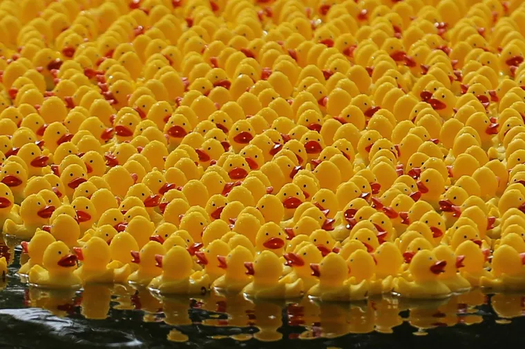 Prije 34 godine nesreća je poslala tisuće patkica oko svijeta: Nevjerojatno gdje su zavr&scaron;ile