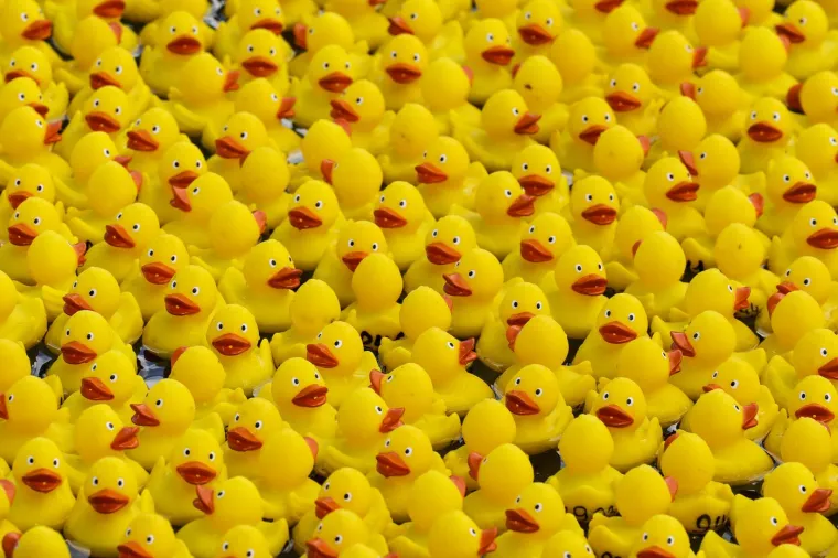 Prije 34 godine nesreća je poslala tisuće patkica oko svijeta: Nevjerojatno gdje su zavr&scaron;ile