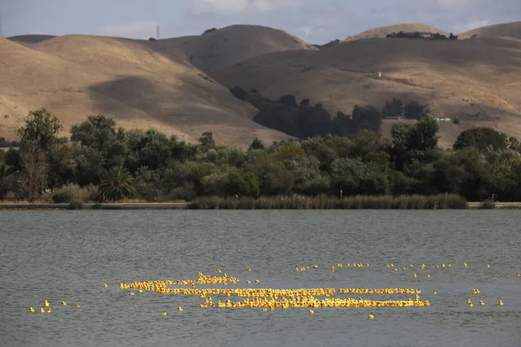 Prije 34 godine nesreća je poslala tisuće patkica oko svijeta: Nevjerojatno gdje su zavr&scaron;ile