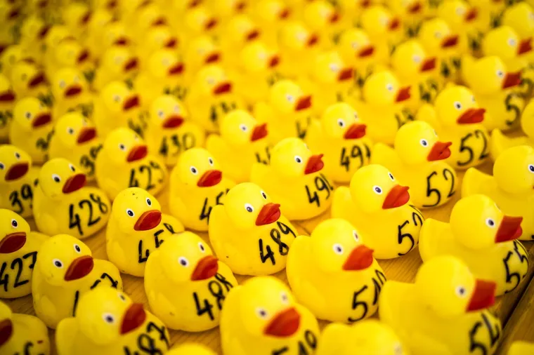 Prije 34 godine nesreća je poslala tisuće patkica oko svijeta: Nevjerojatno gdje su zavr&scaron;ile