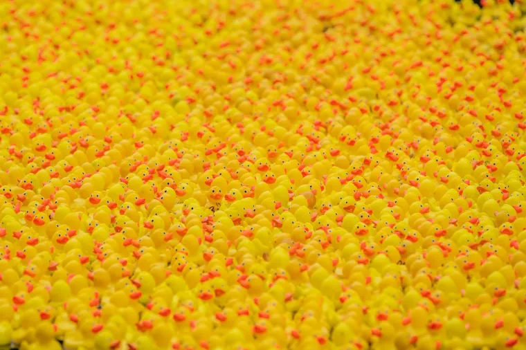 Prije 34 godine nesreća je poslala tisuće patkica oko svijeta: Nevjerojatno gdje su zavr&scaron;ile