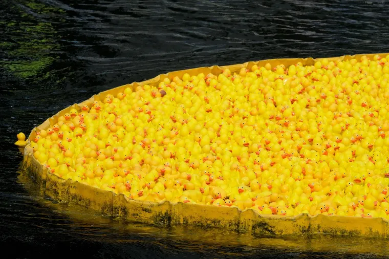 Prije 34 godine nesreća je poslala tisuće patkica oko svijeta: Nevjerojatno gdje su zavr&scaron;ile