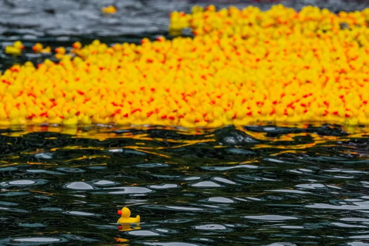 Prije 34 godine nesreća je poslala tisuće patkica oko svijeta: Nevjerojatno gdje su zavr&scaron;ile