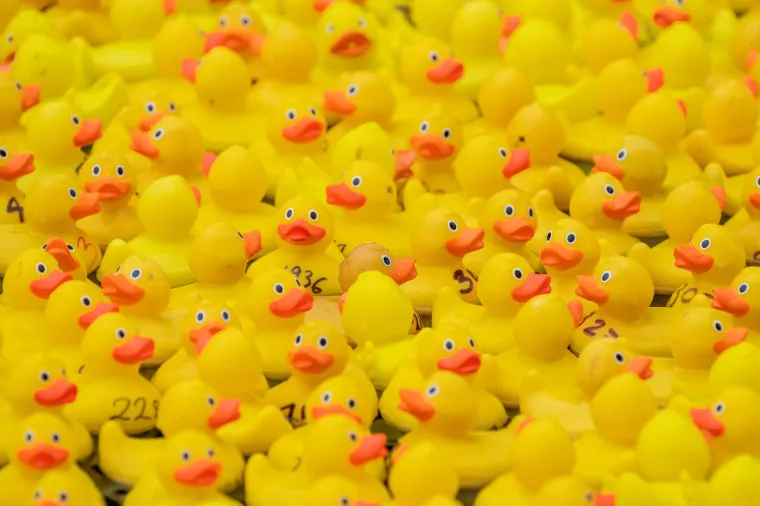 Prije 34 godine nesreća je poslala tisuće patkica oko svijeta: Nevjerojatno gdje su zavr&scaron;ile