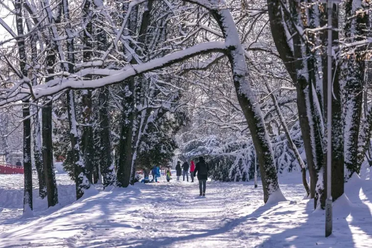 Osječani novu godinu započeli aktivno: Djevojka na biciklu ne boji se leda i zime
