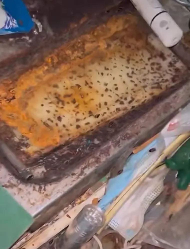 Smrad, prljav&scaron;tina i kaos do stropa: Njezin posao izaziva mučnine, ali njoj donosi ozbiljan novac