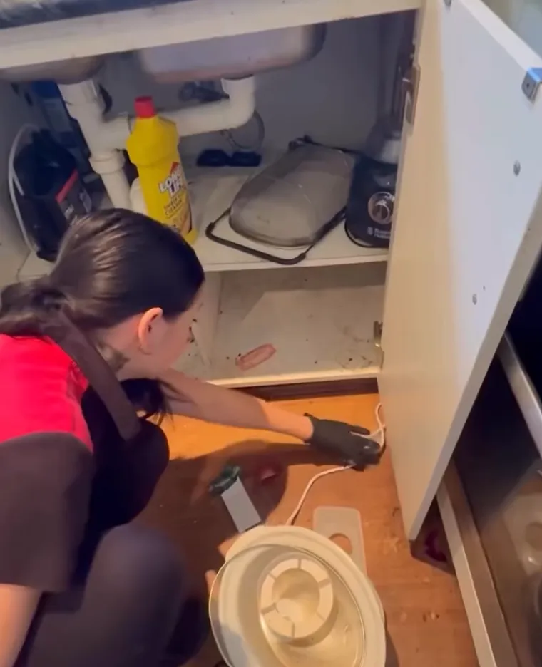 Smrad, prljav&scaron;tina i kaos do stropa: Njezin posao izaziva mučnine, ali njoj donosi ozbiljan novac