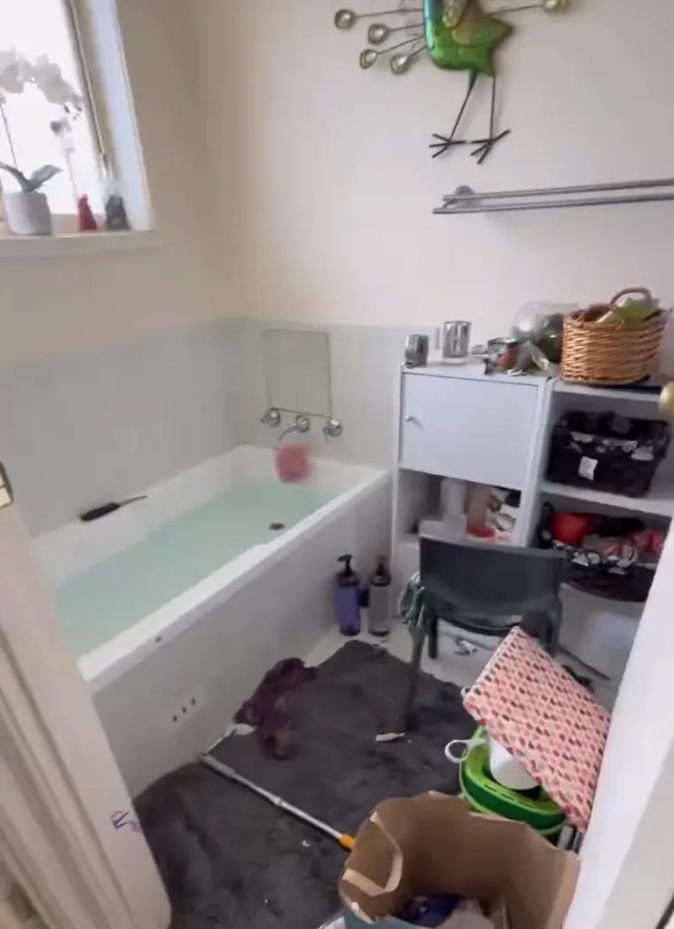 Smrad, prljav&scaron;tina i kaos do stropa: Njezin posao izaziva mučnine, ali njoj donosi ozbiljan novac