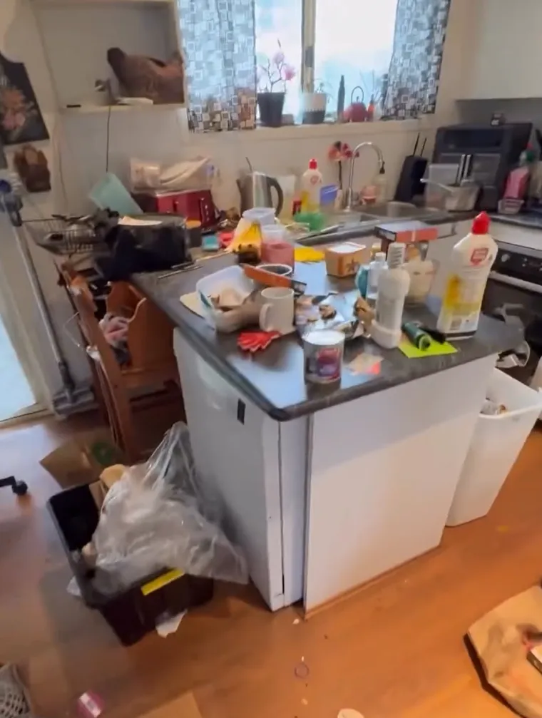 Smrad, prljav&scaron;tina i kaos do stropa: Njezin posao izaziva mučnine, ali njoj donosi ozbiljan novac