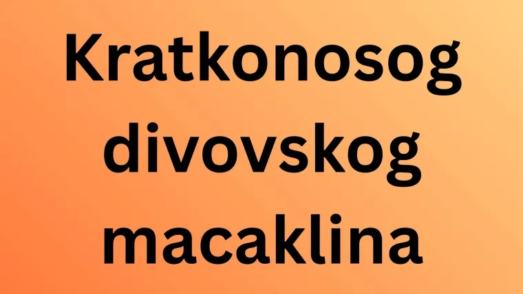 Možete li prepoznati o kojim se životinjama radi na temelju njihovih očiju?
