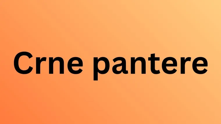 Samo najveći obožavatelji mačaka mogu ih prepoznati po uzorku krzna: Jeste li među njima?