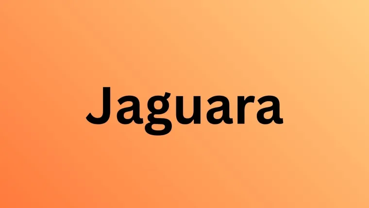 Samo najveći obožavatelji mačaka mogu ih prepoznati po uzorku krzna: Jeste li među njima?