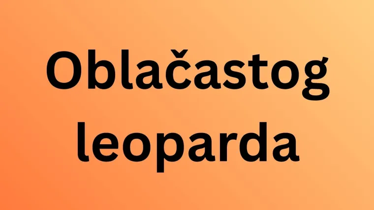 Samo najveći obožavatelji mačaka mogu ih prepoznati po uzorku krzna: Jeste li među njima?