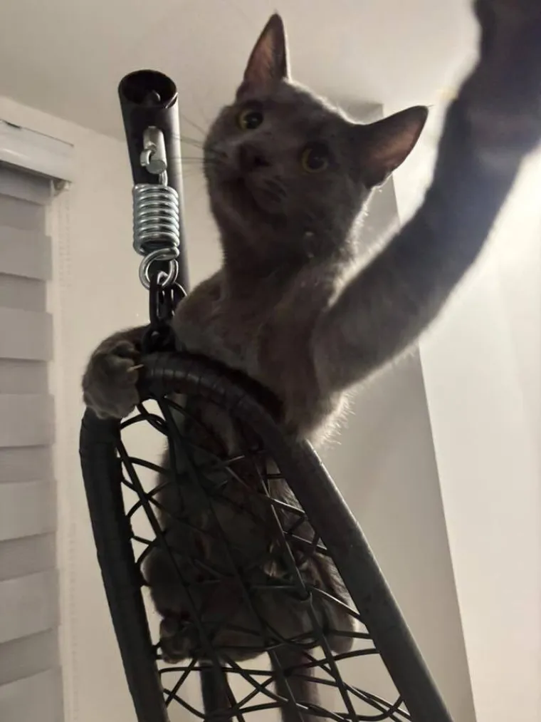 Poslali ste nam najsmje&scaron;nije fotke svojih ljubimaca i uljep&scaron;ali dan, totalni su urnebes