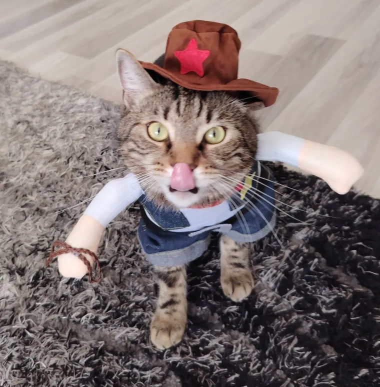 Poslali ste nam najsmje&scaron;nije fotke svojih ljubimaca i uljep&scaron;ali dan, totalni su urnebes