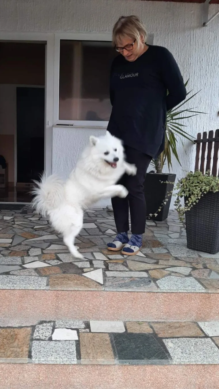 Poslali ste nam najsmje&scaron;nije fotke svojih ljubimaca i uljep&scaron;ali dan, totalni su urnebes