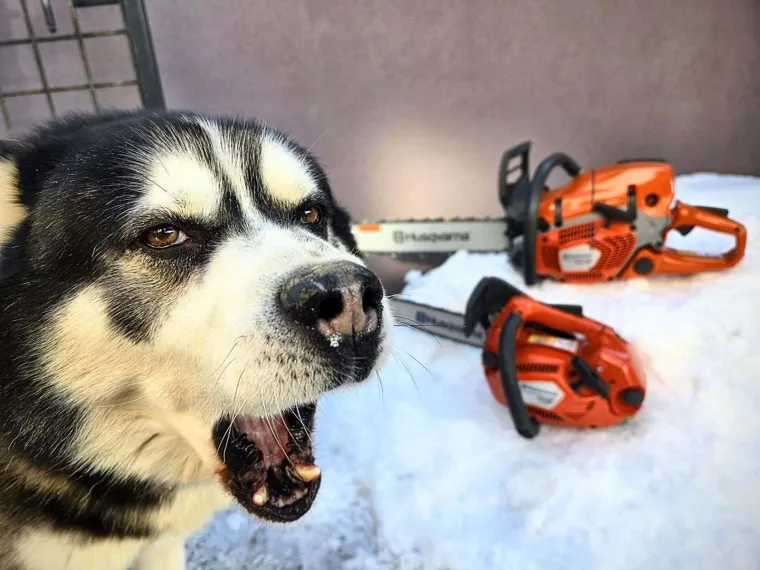 Poslali ste nam najsmje&scaron;nije fotke svojih ljubimaca i uljep&scaron;ali dan, totalni su urnebes