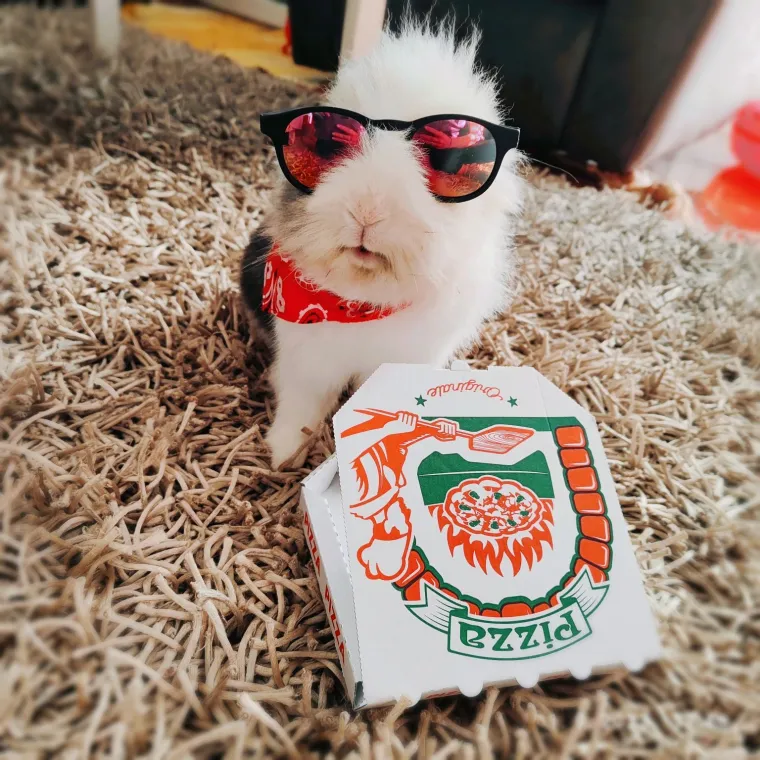 Poslali ste nam najsmje&scaron;nije fotke svojih ljubimaca i uljep&scaron;ali dan, totalni su urnebes