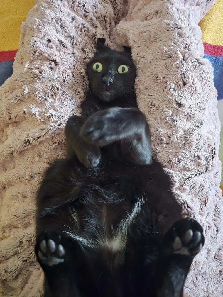 Poslali ste nam najsmje&scaron;nije fotke svojih ljubimaca i uljep&scaron;ali dan, totalni su urnebes