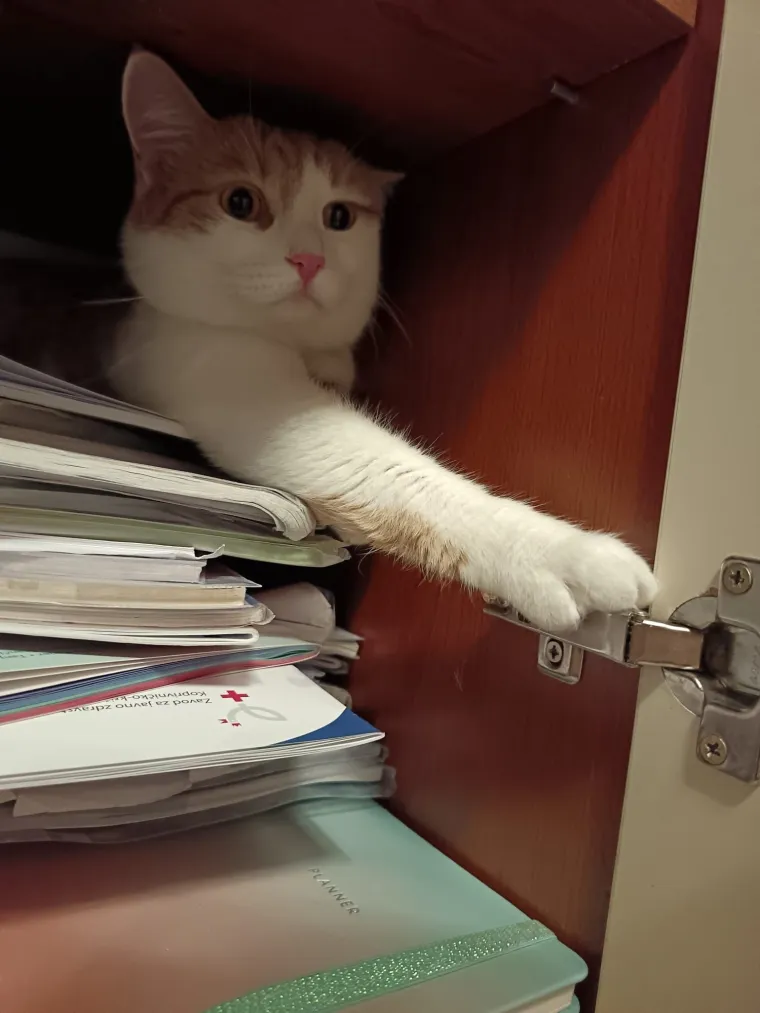 Poslali ste nam najsmje&scaron;nije fotke svojih ljubimaca i uljep&scaron;ali dan, totalni su urnebes