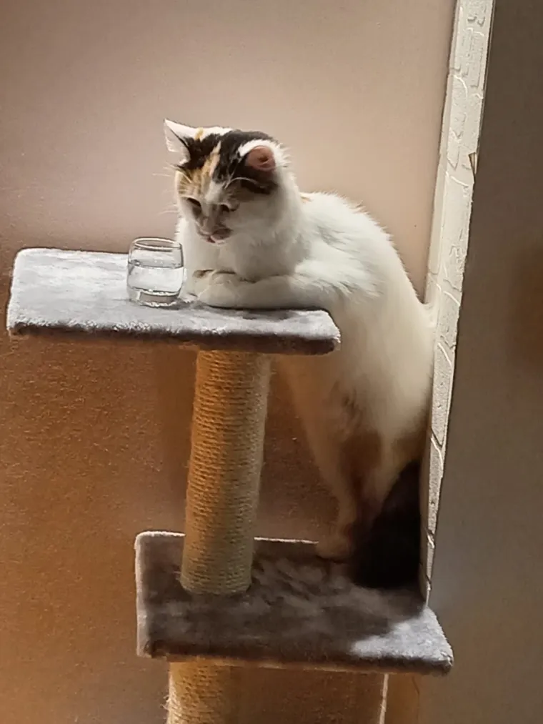 Poslali ste nam najsmje&scaron;nije fotke svojih ljubimaca i uljep&scaron;ali dan, totalni su urnebes