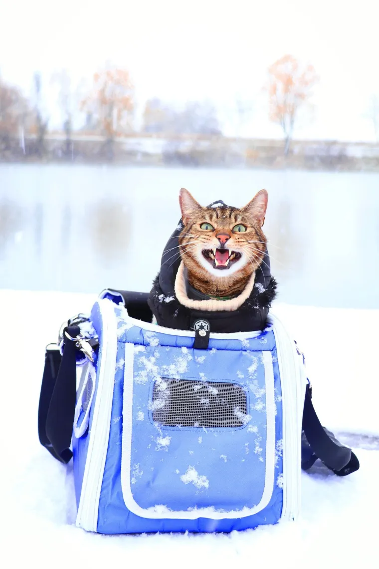 Poslali ste nam najsmje&scaron;nije fotke svojih ljubimaca i uljep&scaron;ali dan, totalni su urnebes