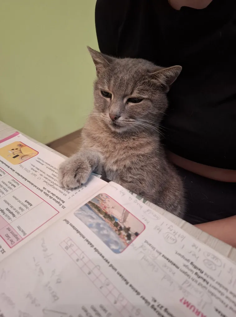 Poslali ste nam najsmje&scaron;nije fotke svojih ljubimaca i uljep&scaron;ali dan, totalni su urnebes