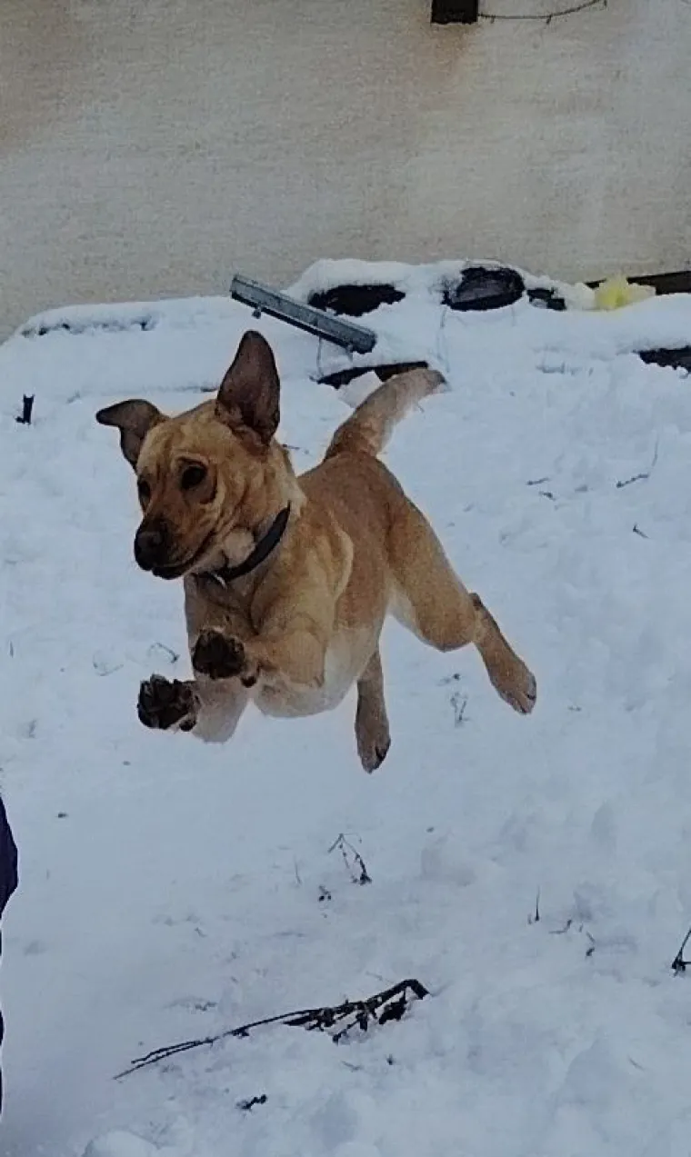 Poslali ste nam najsmje&scaron;nije fotke svojih ljubimaca i uljep&scaron;ali dan, totalni su urnebes