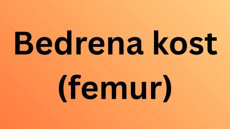 Jesi li stručnjak koji zna sve o ljudskom tijelu? Provjeri na ovim zahtjevnim pitanjima