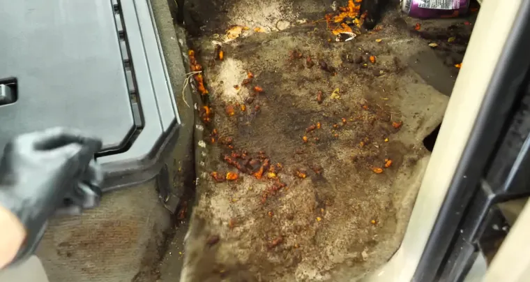 Ostavio je dobar posao i okrenuo se nečemu od čega se svima diže želudac: Sada zarađuje masne novce