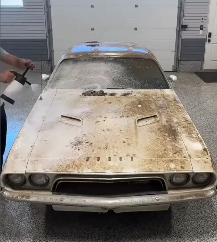 Ostavio je dobar posao i okrenuo se nečemu od čega se svima diže želudac: Sada zarađuje masne novce