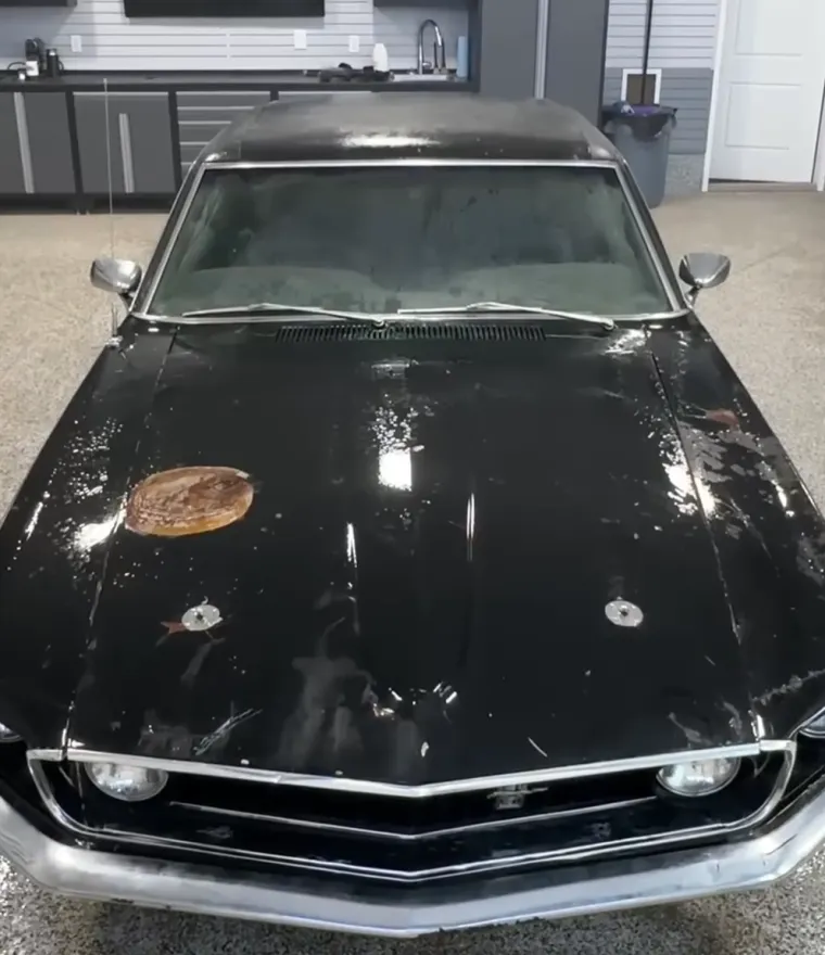 Ostavio je dobar posao i okrenuo se nečemu od čega se svima diže želudac: Sada zarađuje masne novce