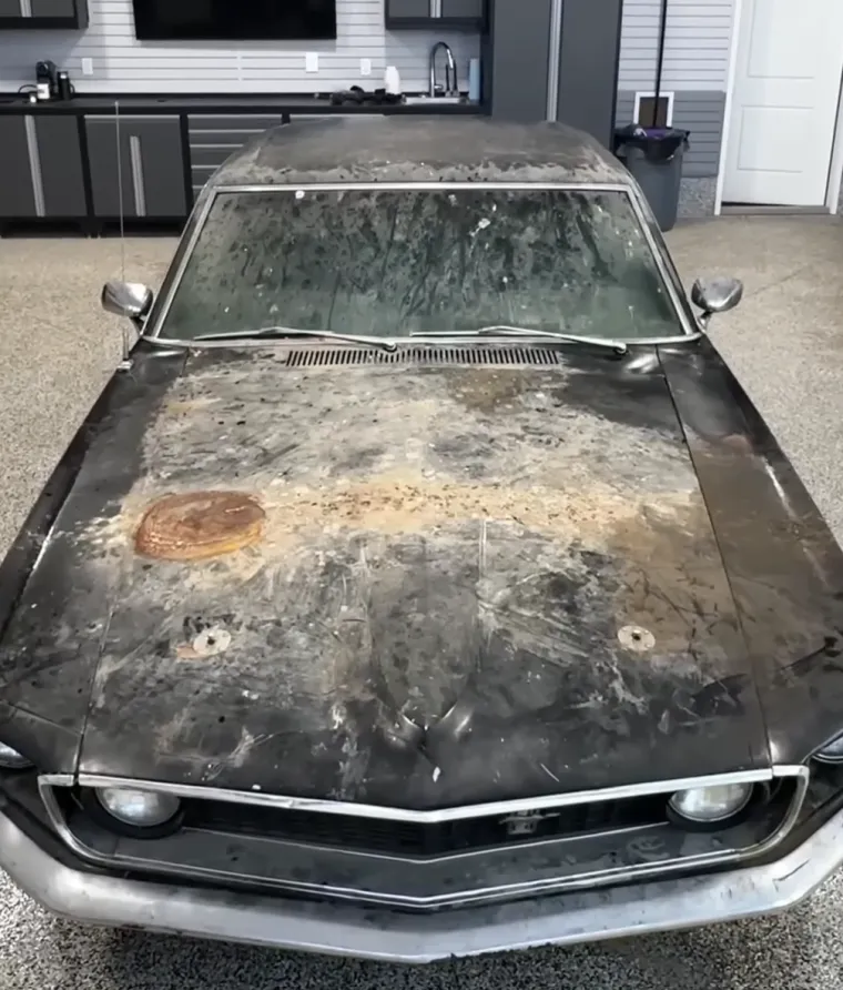 Ostavio je dobar posao i okrenuo se nečemu od čega se svima diže želudac: Sada zarađuje masne novce